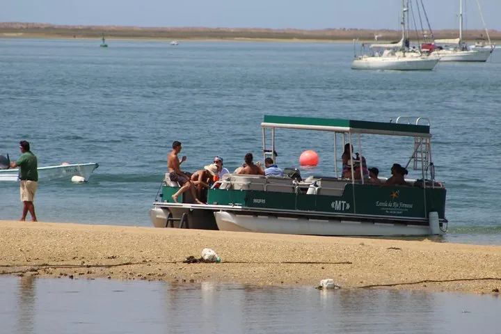 Menschen entspannen auf einem grünen Ausflugsboot, das auf einer Sandbank liegt.